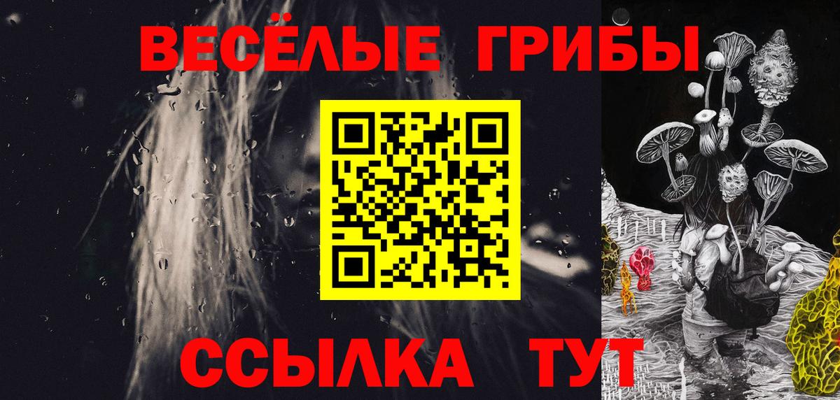 Подольск  Галлюциногенные грибы GOLDEN TEACHER  Вход с VPN 